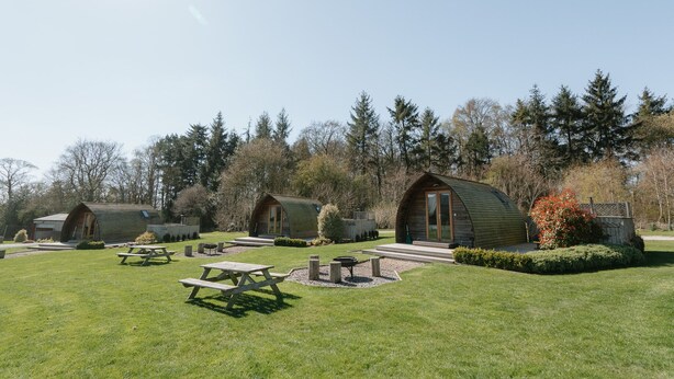 Un terrain de camping doté de plusieurs cabanes en bois, de tables de pique-nique et d’une pelouse bien entretenue.