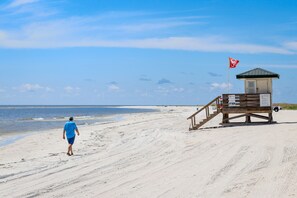 Beach - Dog-friendly, renovated duplex with two kitchens, washer/dryer, & patio (Sarasota)