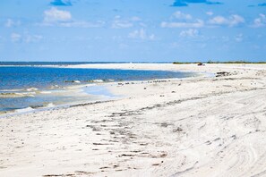 Beach - Dog-friendly, renovated duplex with two kitchens, washer/dryer, & patio (Sarasota)