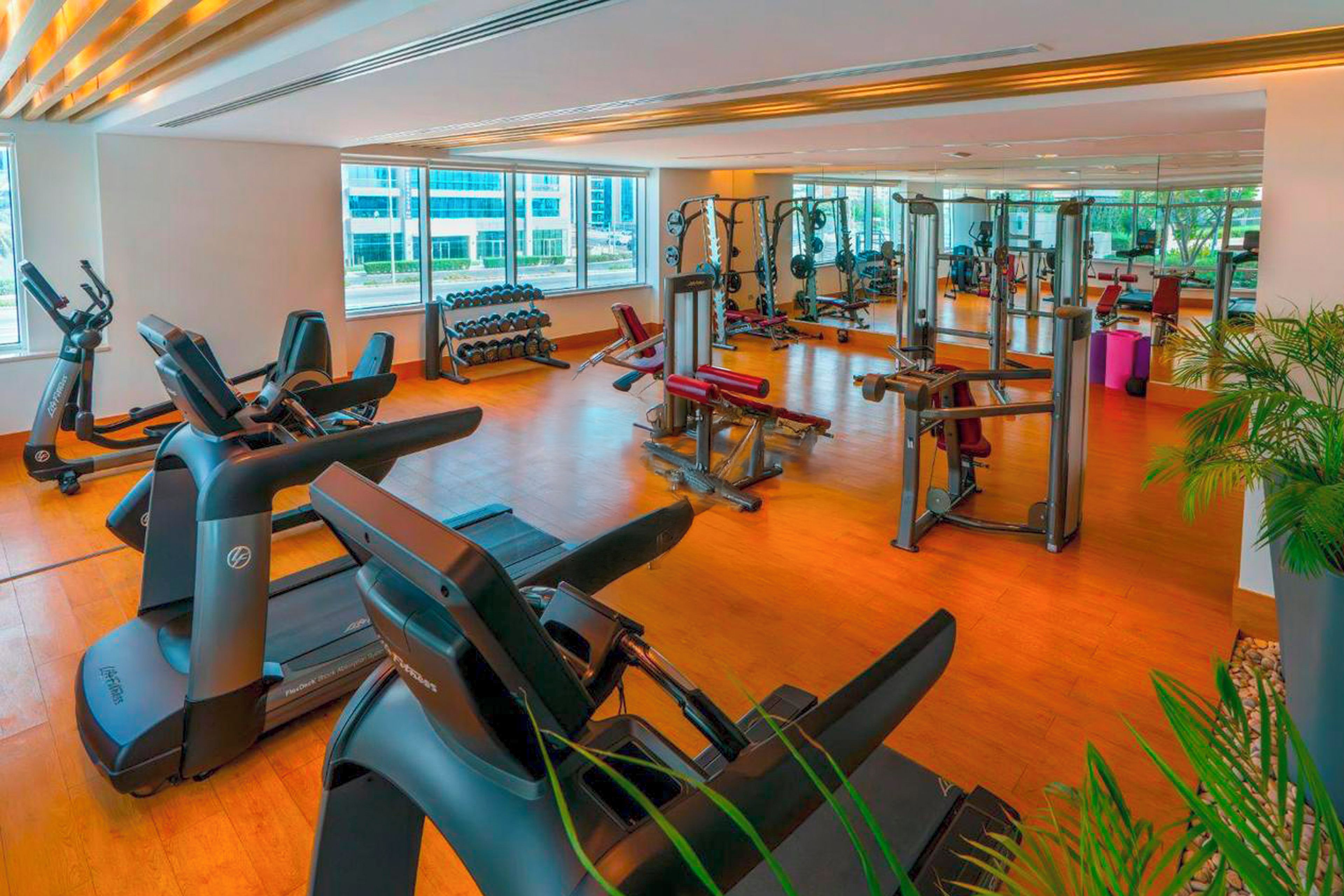 A gym with cardio machines, weightlifting equipment, and dumbbells.