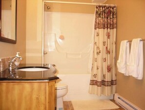 Hair dryer, towels, soap, toilet paper