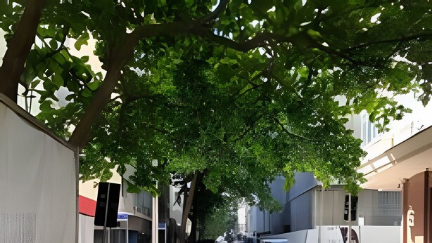 Un parking avec des voitures et un fourgon blanc, entouré d’immeubles et d’arbres.
