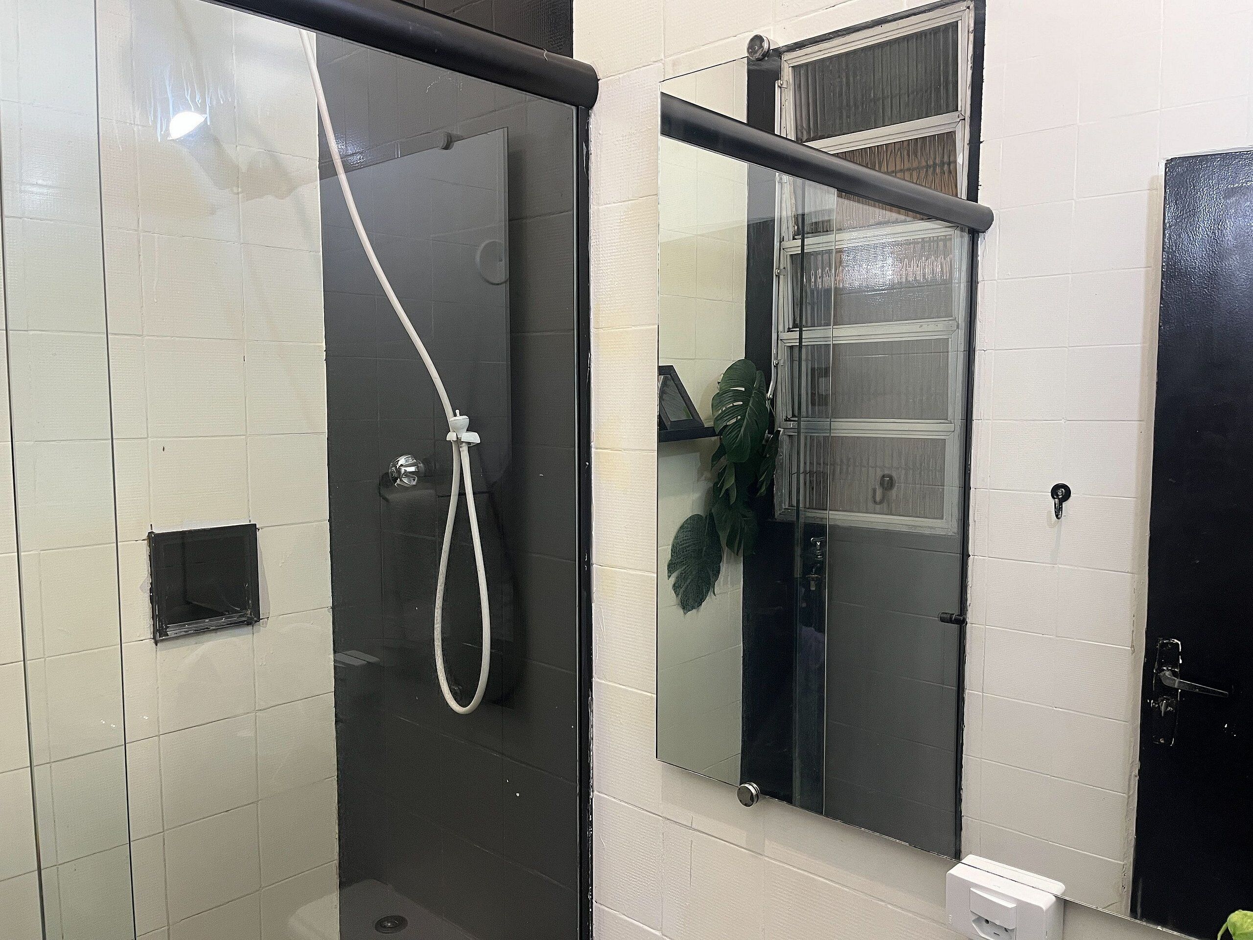 Une salle de bain avec une douche en verre, un miroir et une plante en pot.