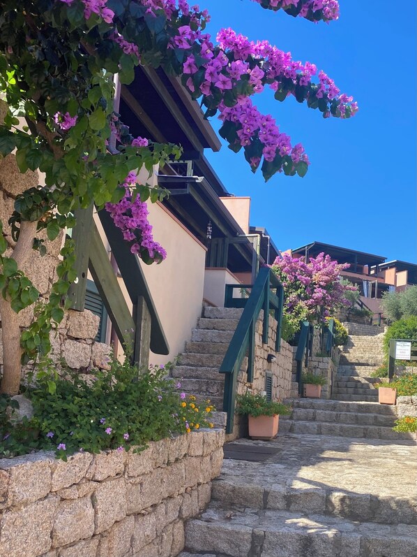 A stone staircase leading to a building with a wooden railing, surrounded by lush greenery and purple flowers.