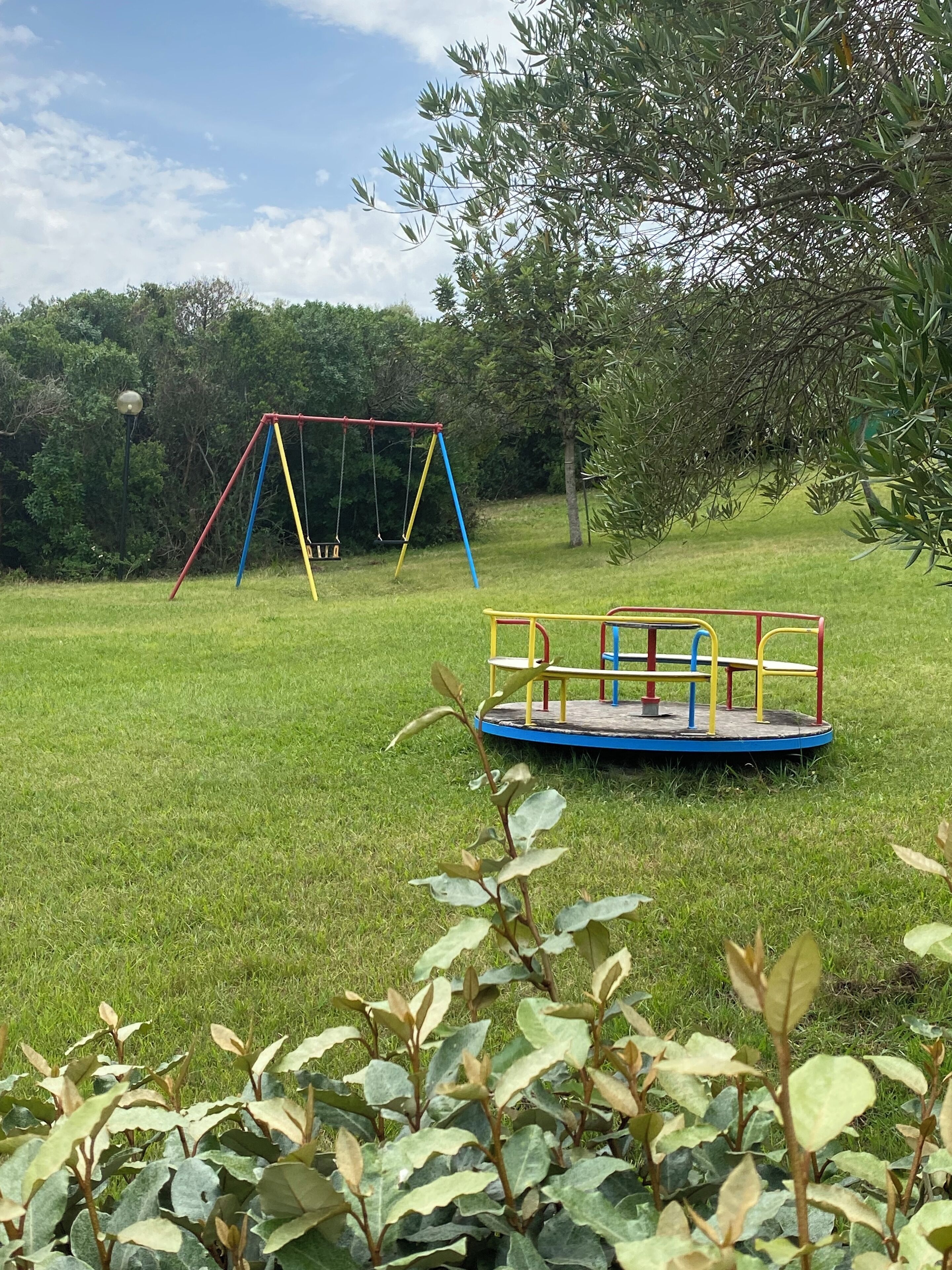 Ein Spielplatz mit Schaukeln und einer Karussell in einem grünen Park.