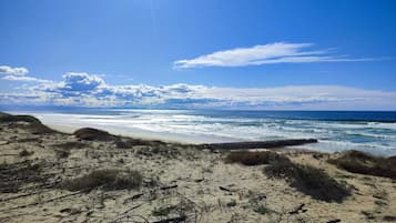 Playa