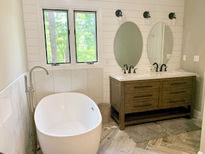 Shower, hair dryer, towels, soap - Million Dollar View Near Asheville, NC (Black Mountain)