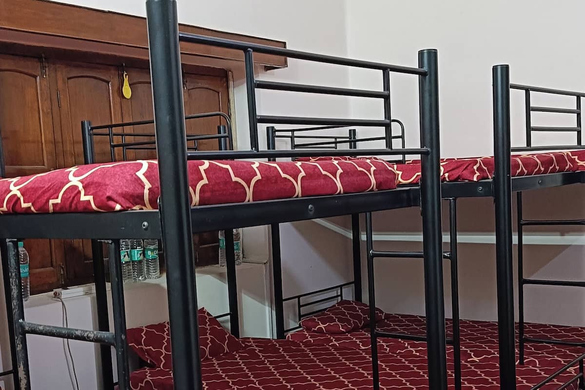 Comfort Shared Dormitory