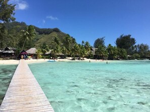 A wooden pier leading to a beach with clear turquoise water, palm trees, and thatched-roof huts.