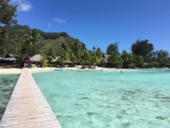 A wooden pier leading to a beach with clear turquoise water, palm trees, and thatched-roof huts.