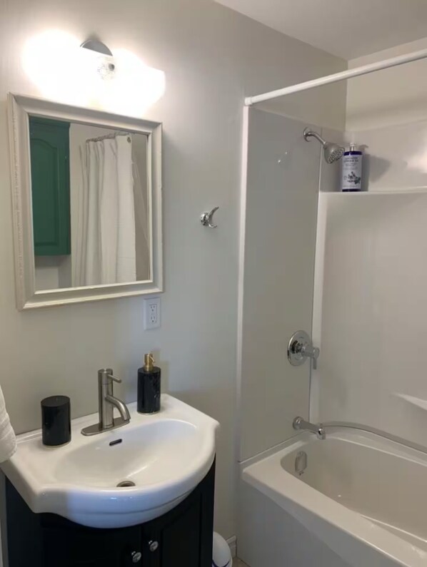 A bathroom with a white sink, a mirror, a shower, and a green door. - Downtown Bannerman Appartment (St. John's)