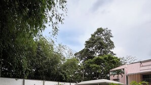 Una piscina con un jacuzzi circular en el centro, rodeado de sillas de descanso y plantas en macetas.