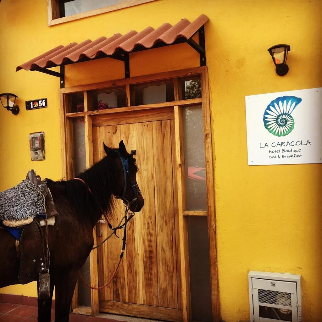 Framhlið gististaðar