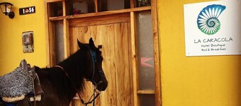 Hotel La Caracola Salento