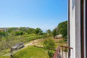 A balcony with a view of a vineyard, a car, and a distant hill.