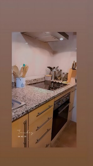 Frigorífico, microondas, horno y placa de cocina