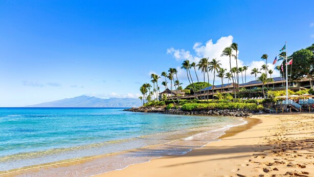 A beach with clear blue water, palm trees, and a resort building with flags.