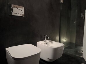 Ducha, secador de pelo y toallas