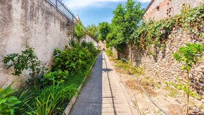 A narrow alleyway with a paved path, flanked by stone walls and greenery. - Guesthouse 'hapa të Lehtë' - Room 1 - Pro Bono (Shkodër)