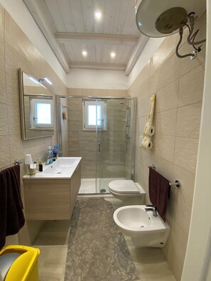 Dusche, Haartrockner, Bidet, Handtücher