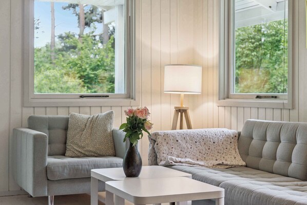 Fireplace, DVD player