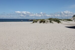 Ein Sandstrand mit Dünen und blauem Himmel.