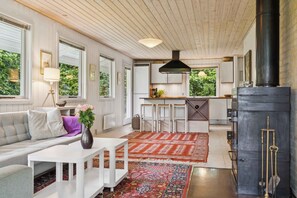 Een open haard en een dvd-speler