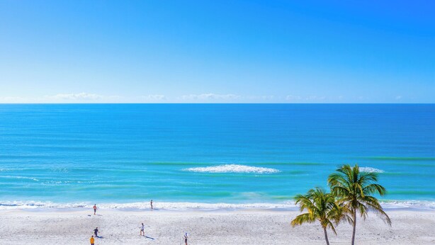 A beach with clear blue water, white sand, and palm trees. - One Of The Most Unique Homes in Anna Maria Island (Holmes Beach)