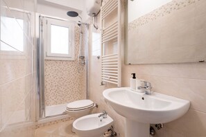 Shower, hair dryer, bidet, towels