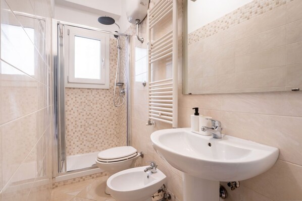Shower, hair dryer, bidet, towels