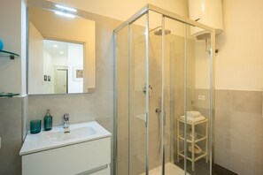 Shower, hair dryer, bidet, towels