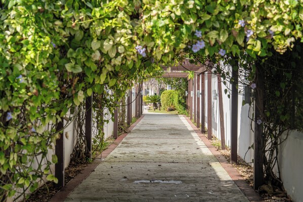 Property grounds - NEW! Cozy 2 Bedroom Beach Getaway with Pool (Playa Juan Dolio)