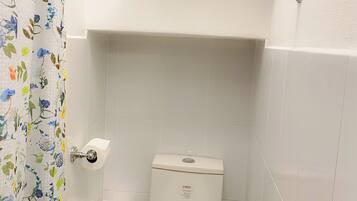 Regadera, secadora de cabello, toallas, jabón