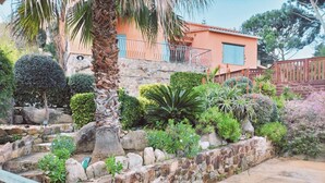 A garden with a stone wall, various plants, and a palm tree. - Los Palmitos, Calonge - Costa Brava (Calonge)