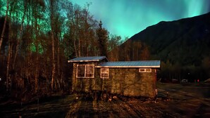 A cabin with a metal roof and two windows, surrounded by trees and a mountain in the background.