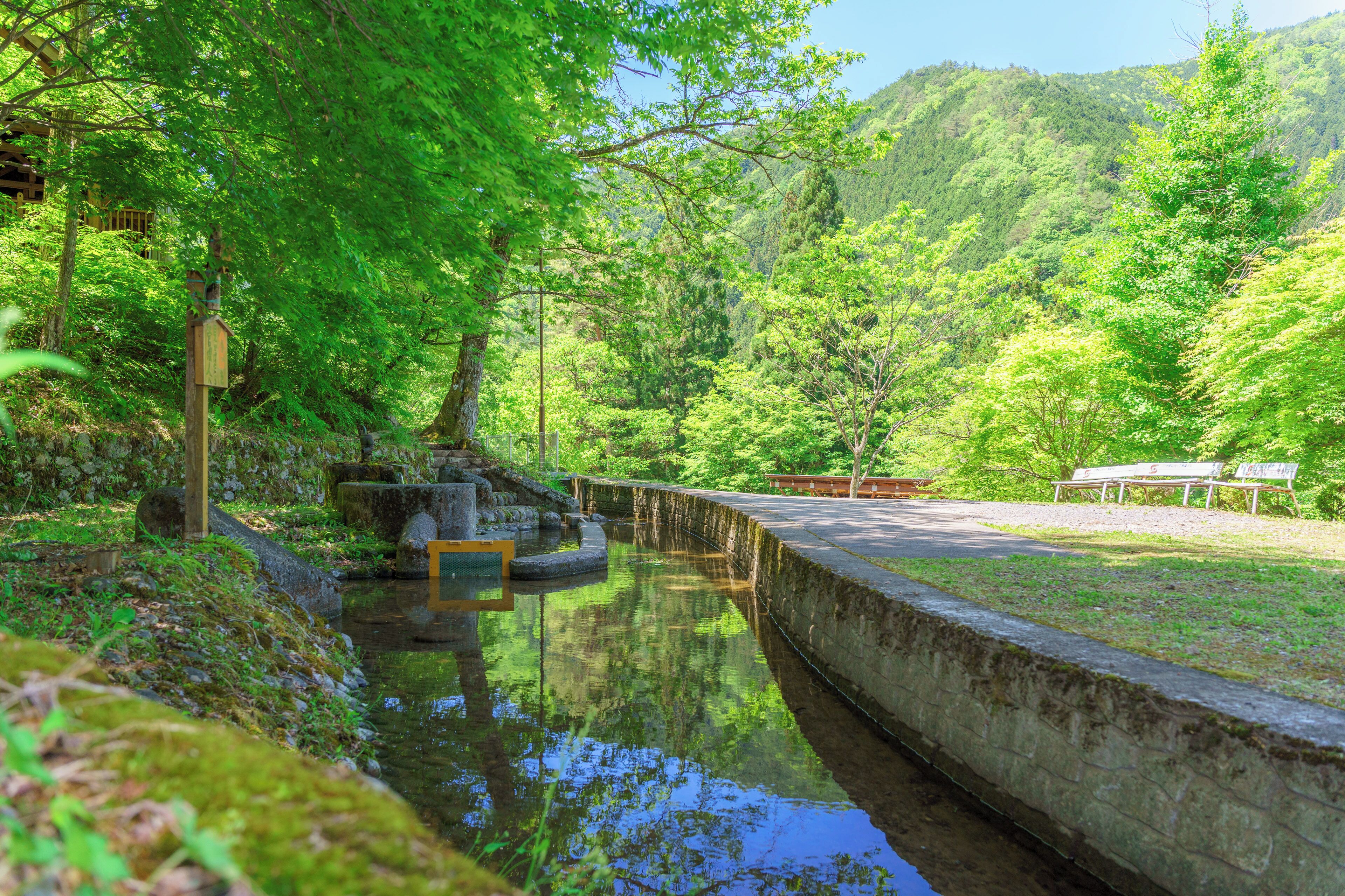 Children's activities