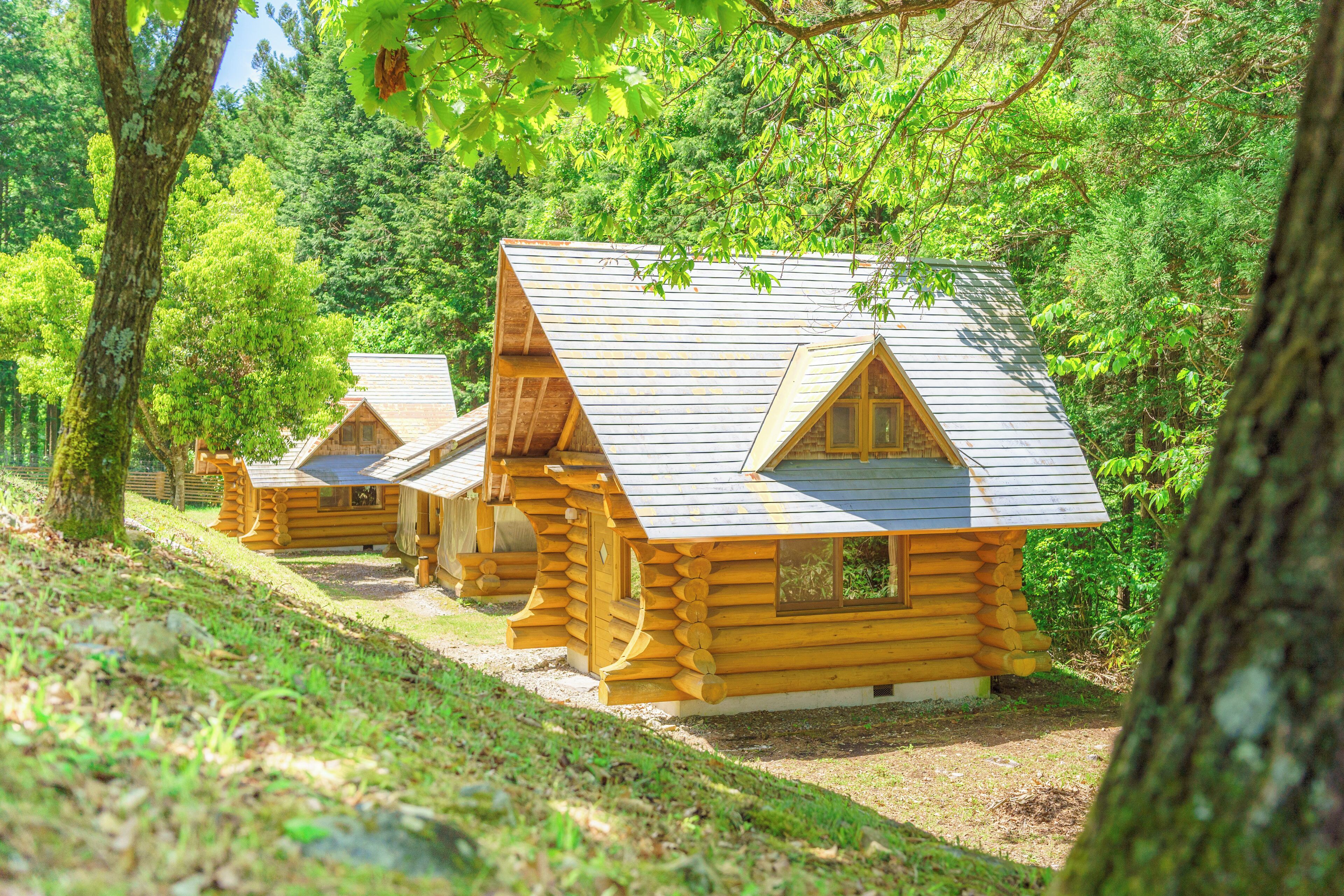 Eine Reihe von Blockhütten mit Satteldächern, umgeben von dichtem Wald.