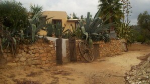 A rustic stone wall with a wooden gate, surrounded by various plants and a palm tree. - Boliqueime Villa Private Pool With Ocean View (Loulé)