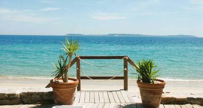 Mazet for 5 people with sea view and shared pool in La Londe-Les-Maures