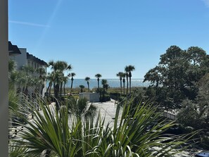Property grounds - OceanEscape – Steps to the Beach (Hilton Head Island)