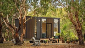Una cabaña moderna y compacta con puerta corredera de vidrio, rodeada de árboles maduros y un pequeño espacio al aire libre con mobiliario.