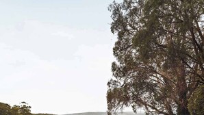 A view of a rural landscape with a large tree, open fields, and a wooden structure in the foreground. - Dreamy 1 by Tiny Away (Red Hill)
