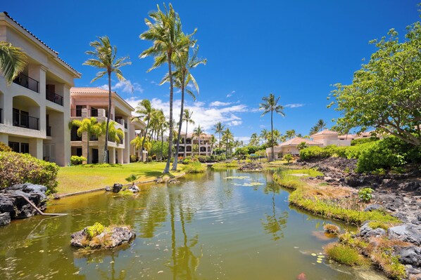 A resort with a water feature, palm trees, and a building with balconies.
