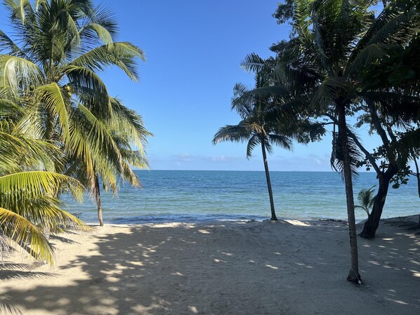 På stranden