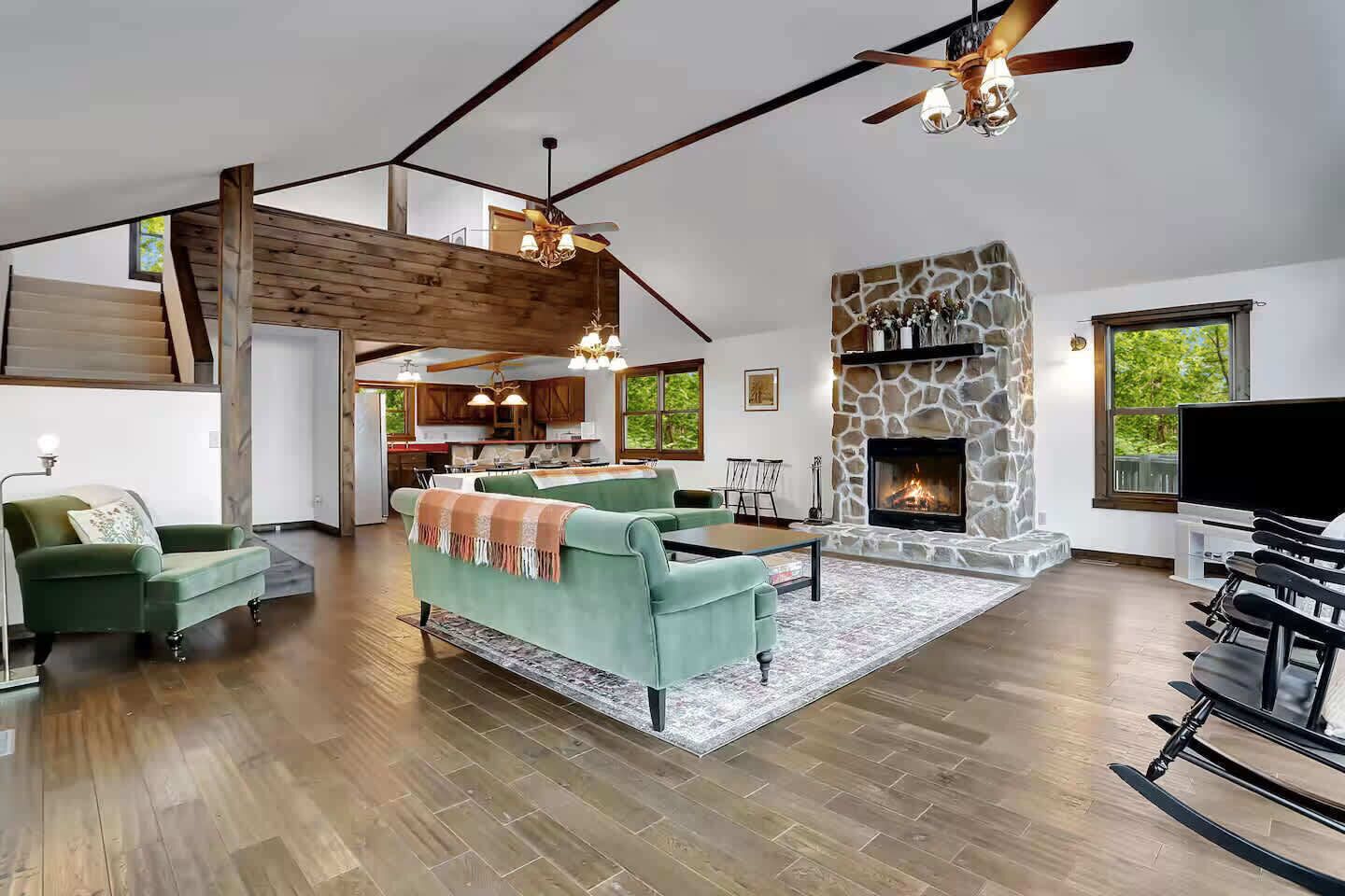 TV, fireplace, video games, books