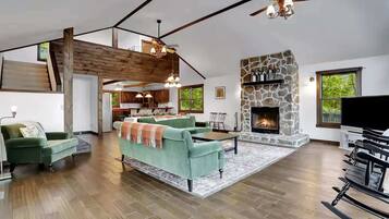 TV, fireplace, video games, books