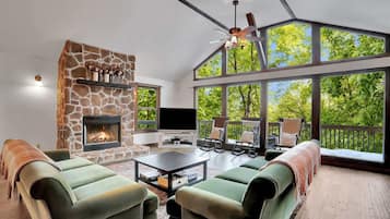 Televisión, chimenea, videojuegos y libros