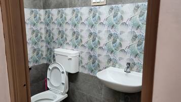 Shower, towels, soap, toilet paper
