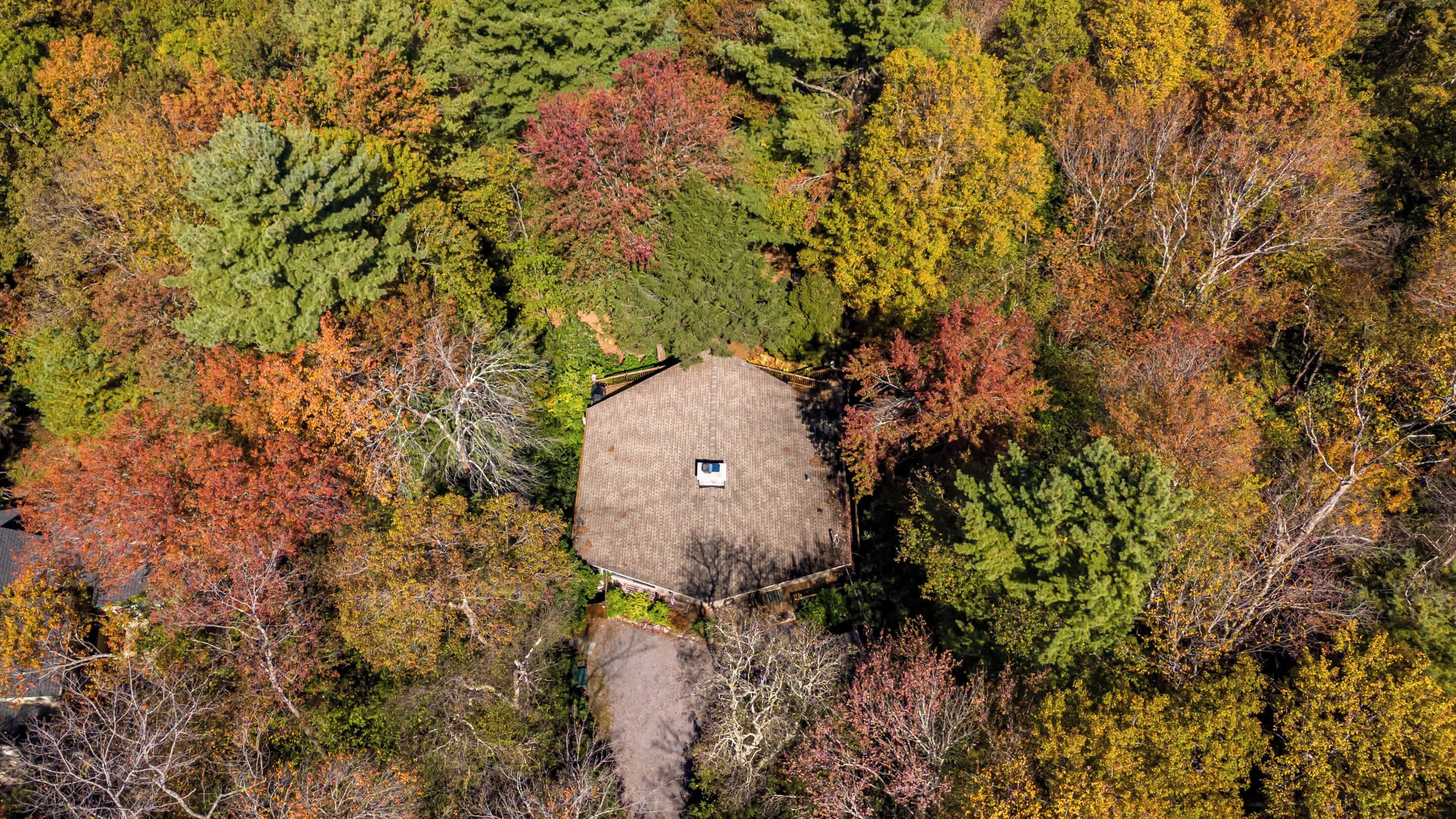 Un edificio ottagonale con una piccola finestra, immerso in una fitta foresta con foglie autunnali.