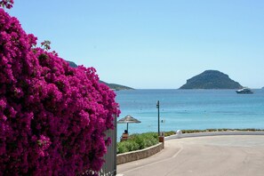 Exterior - Villa Sa Soliana (Golfo Aranci)